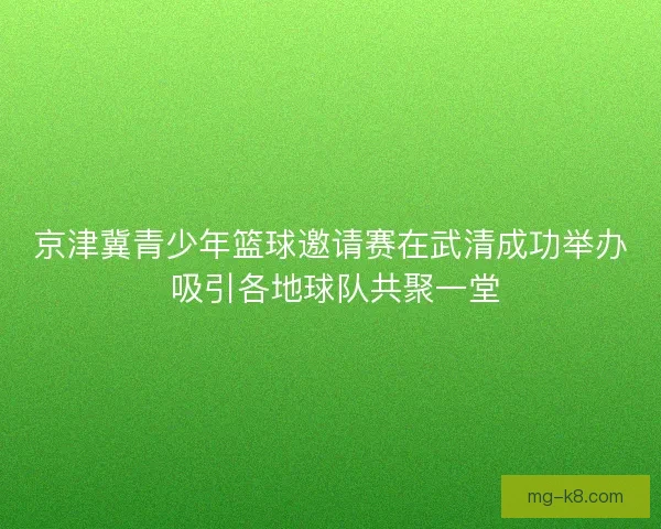 京津冀青少年篮球邀请赛在武清成功举办 吸引各地球队共聚一堂 京津冀青少年篮球邀请赛在武清成功举办 吸引各地球队共聚一堂